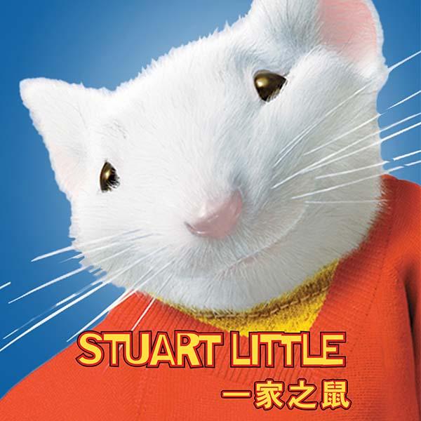 一家之鼠